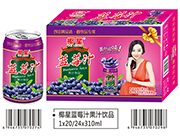 椰星蓝莓汁果汁饮品310ml